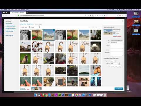 Publish Gallery Posts Publish Gallery Posts