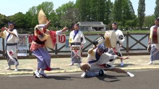 巴連組踊り／水上テラス／JAPAN FESTA 2017春