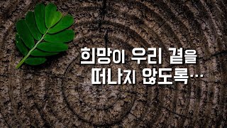 [희망이 우리 곁을 떠나지 않도록 합시다.] 2024년 12월 3일, 성 프란치스코 하비에르 사제 기념일 (이병근 신부) 원당동 성당