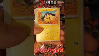 「ポケモンカード　クリムゾンヘイズ」毎日開封『7日目』