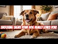 I Discovered the 7 SECRET SIGNS My Dog Loves Me and It Changed Everything! Dog Training