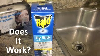 Raid Fly Stick Review