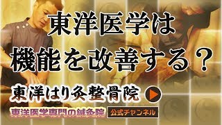 東洋医学は「体の機能の改善」を目指す？  | 町田の鍼灸院