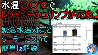 【夏の水温対策】〇〇℃でレッドビーが死ぬ…。ゼンスイTEGARUのレビューとアクアリウム用クーラーについて簡単に解説【GEX AGS450 水草水槽part7】