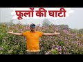 हर 15 दिन में रंग बदलती है फूलों की घाटी ।। हेली0 से वैली  ।। Valley Of Flowers trek August 2024 ।।