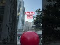 香港中環紅球計劃red ball project in hong kong central hongkong red ball project 紅球 紅球計劃 香港 中環