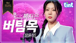 🎙복지은 - 버팀목 [틴트뮤직 | 트롯라이브4K]#틴트뮤직 #tintmusic #트롯 #jpop #미스트롯3 #트페라퀸 #복지은 #장윤정 #버팀목 #알고보니혼수상태