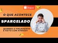 Shopee Sparcelado Atraso no Pagamento das Parcelas