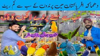 دھماکہ افر پاکستان میں پرندوں کے سب سے کم ریٹ عثمان بھائی کے ایک بڑی افر