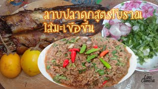 ลาบปลาดุกใส่บักเขือขื่น แบบโบราณ แซ่บเด้อครับ