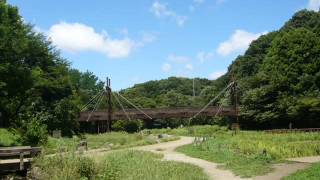 由岐ひろみ    祖谷の粉ひき唄