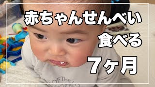 【生後7ヶ月】赤ちゃんせんべい食べるよ