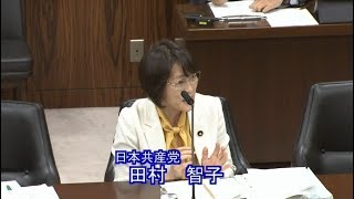 認可外お墨付き批判　保育「無償化」で参考人