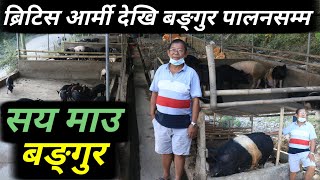 ६७ बर्षमा पनि पुण्य राईको कत्रो जोस हरेक कृषकले हेर्नैपर्ने भिडियो  | Original Khabar |#कृषिVLOG-14