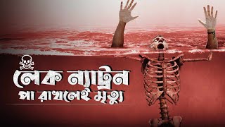 লেক ন্যাট্রন - যেখানে প্রাণীরা হয়ে যায় পাথর | Lake Natron | Wildology Bangla