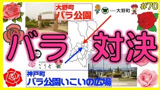 【バラ】#70 岐阜県揖斐郡大野町バラ公園、安八郡神戸町 バラ公園いこいの広場