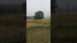 गावातील संध्याकाळ🏕️