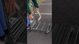 A Foldable Shopping Cart that Fits in your Car Boot 🛒🚘