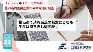 2022 年10～12月期 静岡県内主要産業四半期見通し調査