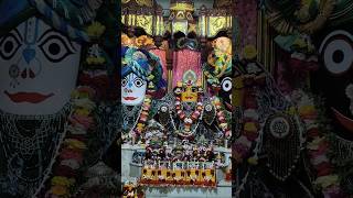 Jay Jagannath 🎉😍 Beautiful Darshan Jagannathdev #jagannath #iskcon #shorts