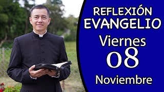 Evangelio de Hoy Viernes 08 de Noviembre de 2024  Lectura y Reflexión