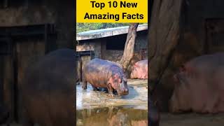 आंख से भी छोटा दिमाग वाला जानवर 😱 Top 10 New Amazing Facts in Hindi | Random Facts #shorts #facts