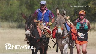 The Black Canyon Donkey Derby: How a race for gold became a beloved sport in Arizona