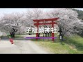 信州武石の花　2019年4月23日