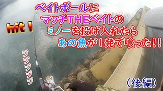 アラカブ（カサゴ）の穴釣りから、メバルのライトゲームをやっていたら、思った以上に大きいあの魚が釣れた！！真冬のライトゲーム後編！