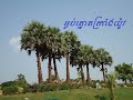 ម្លប់ត្នោតក្រាងយ៉ូវ 1