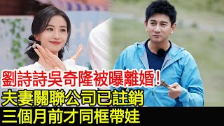 劉詩詩吳奇隆被曝離婚！夫妻關聯公司已註銷，三個月前才同框帶娃#劉詩詩#吳奇隆#hk茶餘飯後