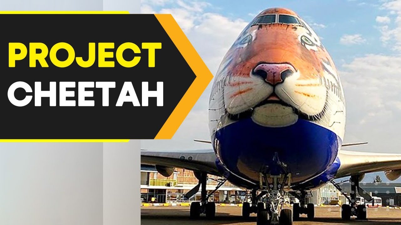 What is Project Cheetah and how is it significant to India? | WION Originals