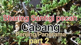 Sharing Santigi Pecah Cabang Penjing/Panorama Part 2