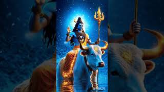 🔱 Om Namah Shivaye 🔱 #shortsfeed #bollywood #sivasivaya #shorts #shorts_video #omnamahshivaya #om