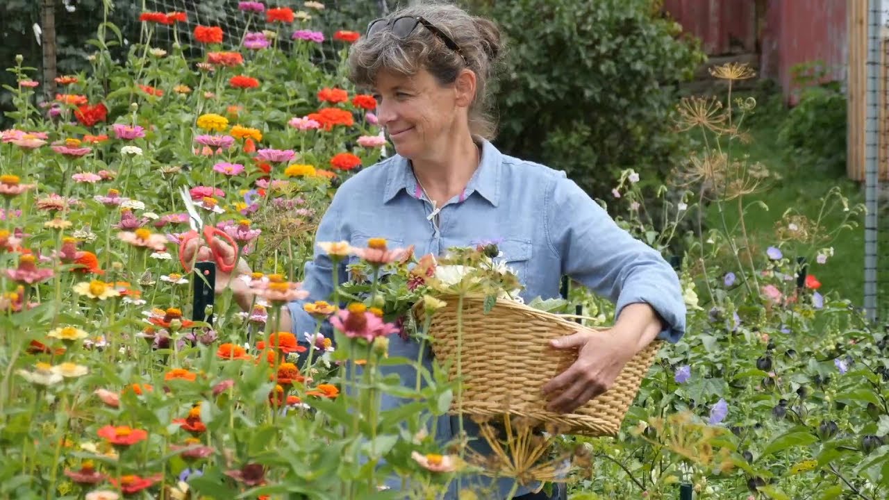 Foundations For Growing Cut Flowers - YouTube