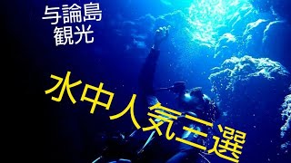 【与論島ダイビング】 水中観光地