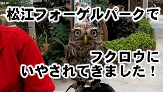 松江フォーゲルパークで、フクロウにいやされてきました！