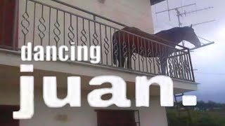 Juan dancing on balcony (Juan horse meme)