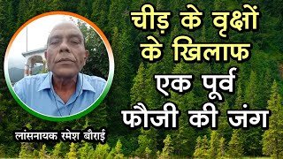 Uttarakhand में चीड़ के पेड़ों के खिलाफ एक पूर्व फौजी की जंग, जानिए क्यों घातक हैं Pine