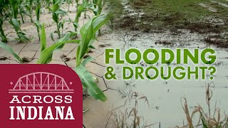 The Local Impact of Climate Change | Across Indiana