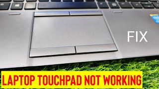 Fix Laptop Touchpad Not Working | Mouse Pointer Not Moving