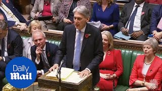 Philip Hammond announces freeze on fuel and alcohol duties