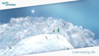 Immunophenotyping