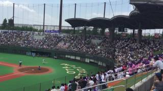 2016夏東東京大会応援　明大中野　学園天国