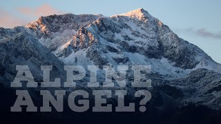 Fireside Friday: Alpine Angel?