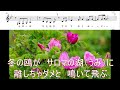 サロマの湖 秋山涼子（音符あり） cover マーコ