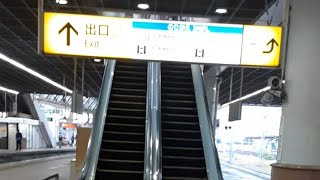 escalator エスカレーター　小田急線小田原駅