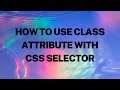 How to Use Class with CSS Selectors to Find Elements | Selenium WebDriver with Python | Tutorial 10