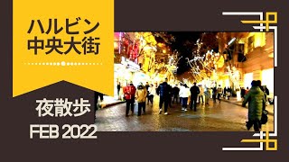 【中国観光】ハルビン(哈爾浜) 中央大街〜斯大林公園 夜散歩 - A walk through the night at Zhongyang St to Sidarin Park in Harbin