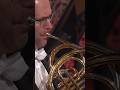 Grieg’s Peer Gynt, 3rd Horn Solo #orchestra #frenchhorn